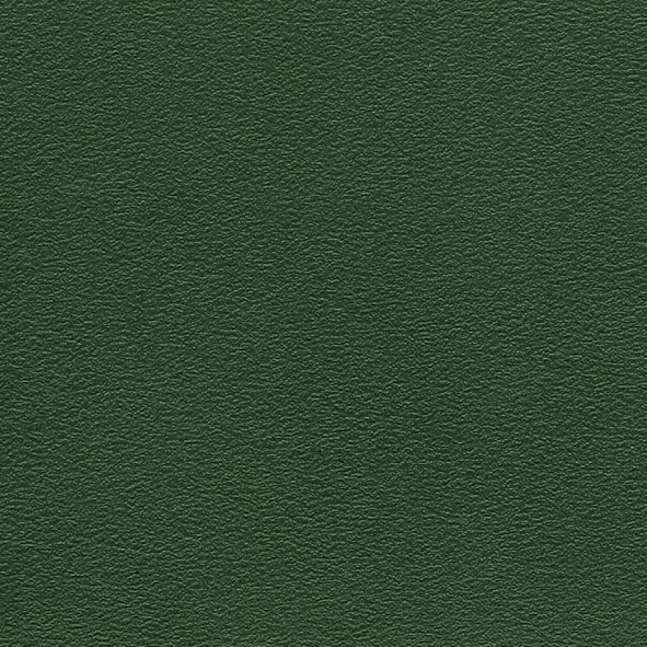 PP21 Dark green Polypropylene