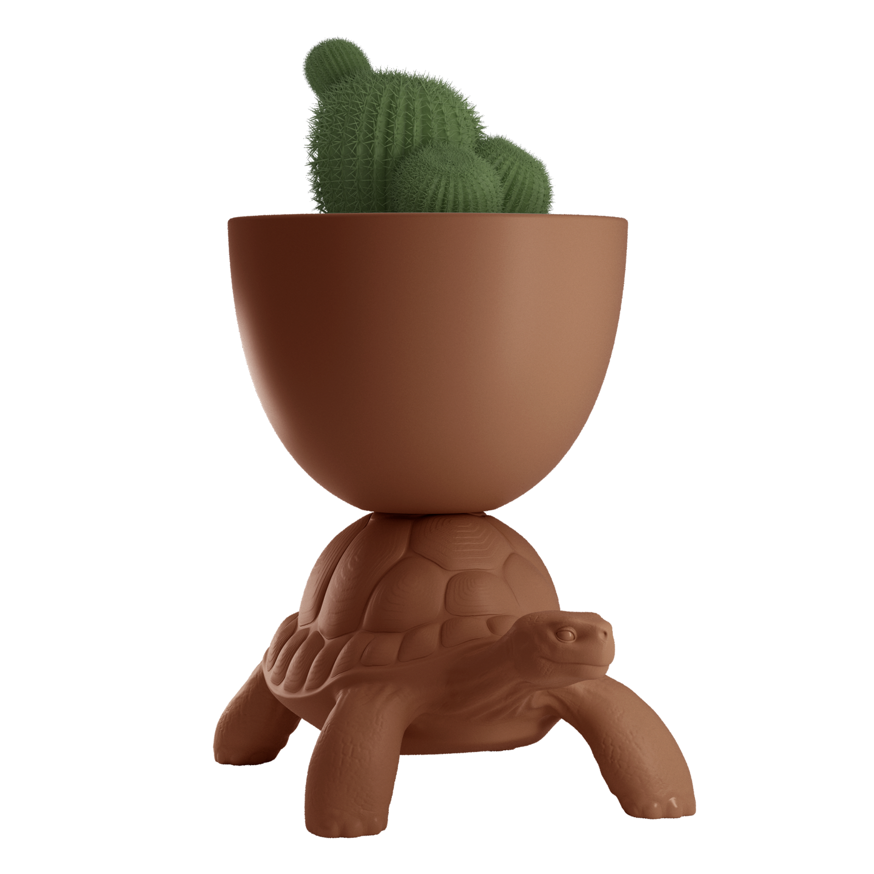 terracotta