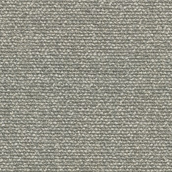 Moss 005