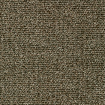 Moss 001