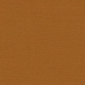 Planum 351