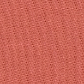 Planum 521