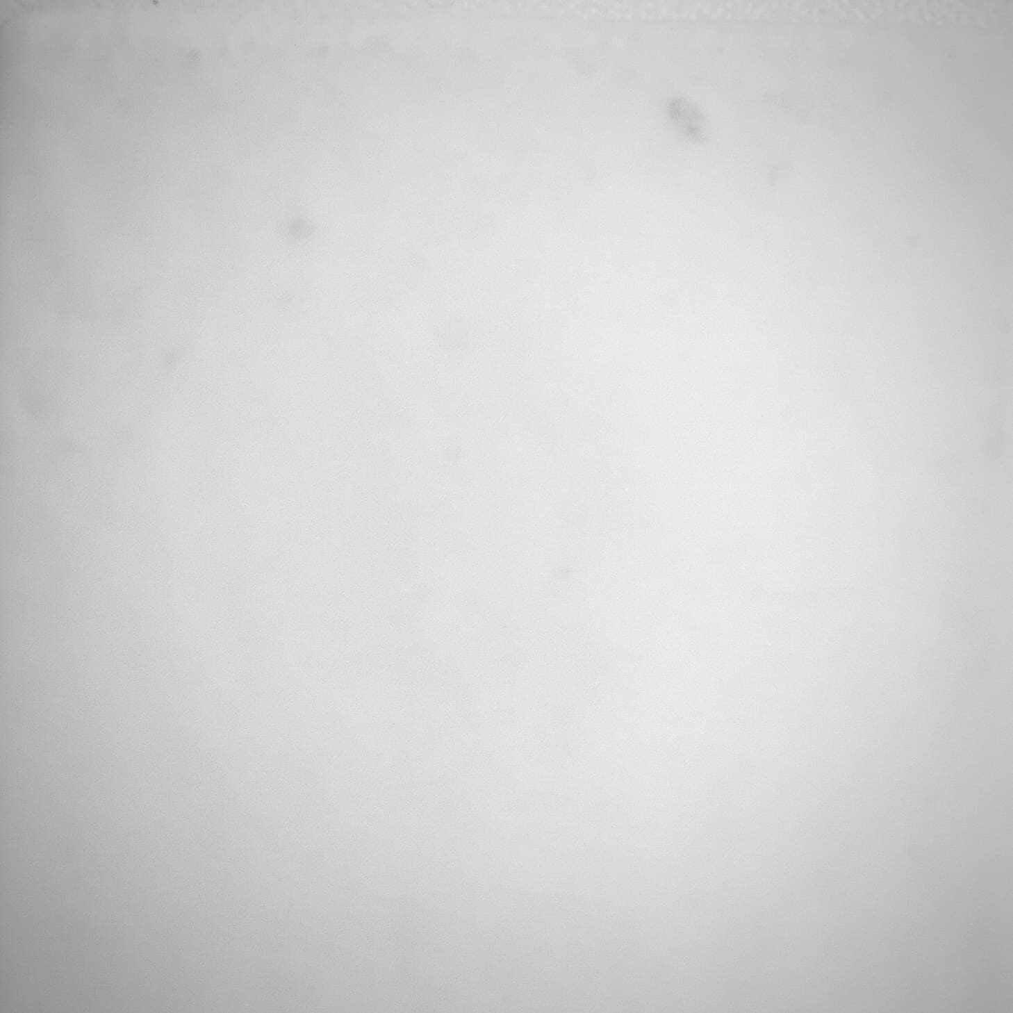 57 λευκό ματ