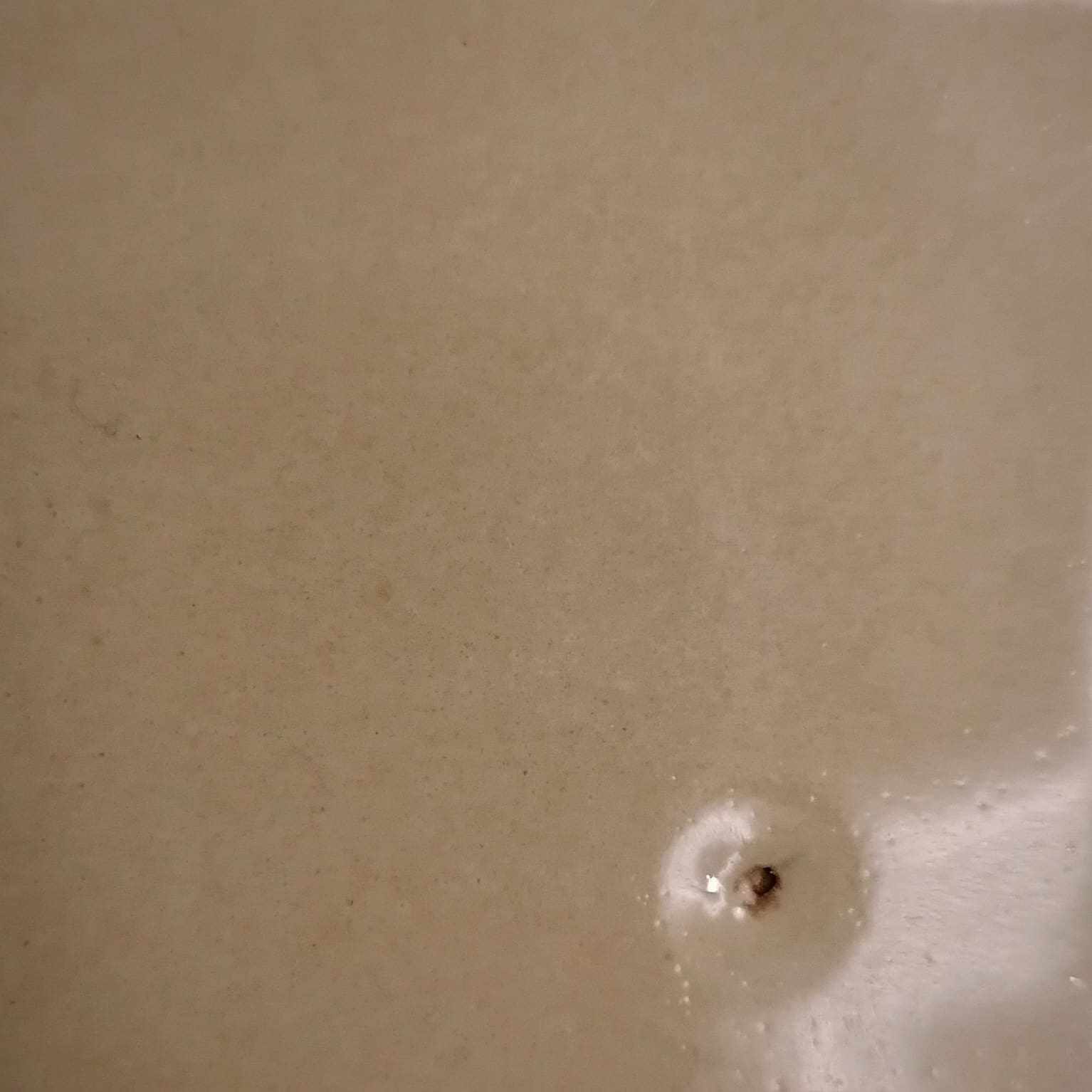 52 πράσινο των βρύων γυαλιστερό