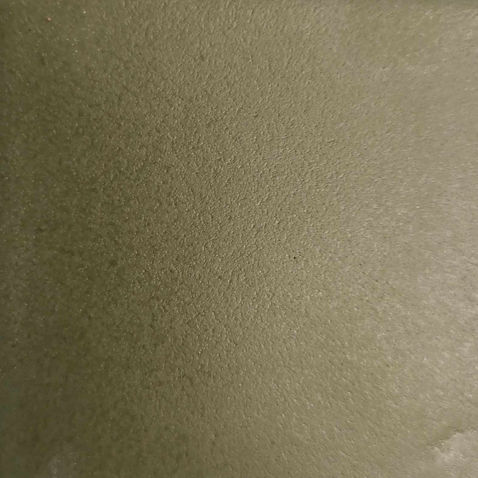 81 πράσινο του κάκτου ματ