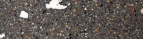 black terrazzo